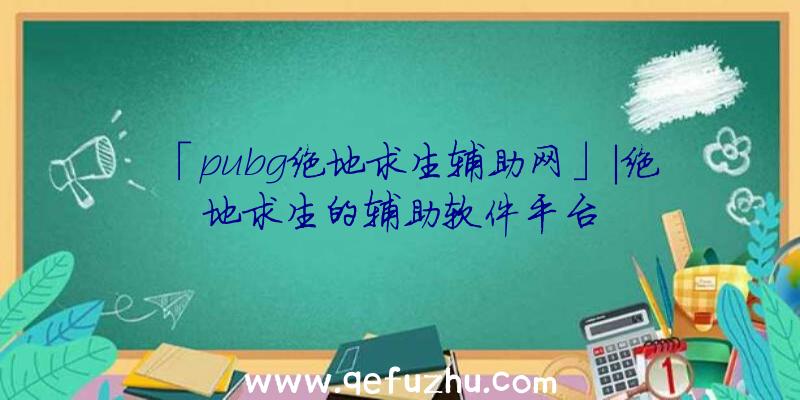 「pubg绝地求生辅助网」|绝地求生的辅助软件平台